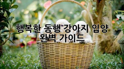 🐶 행복한 동행: 강아지 입양 완벽 가이드 🐾